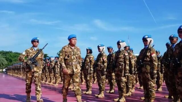 Pasukan Perdamaian Tni